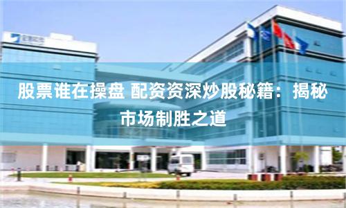 股票谁在操盘 配资资深炒股秘籍：揭秘市场制胜之道